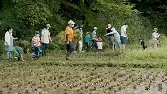 Video by Япония Japan 日本  Взгляд Изнутри