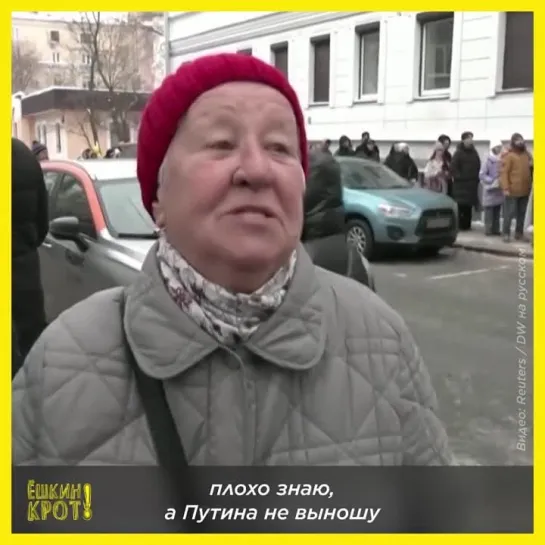 «Я Путина не выношу»