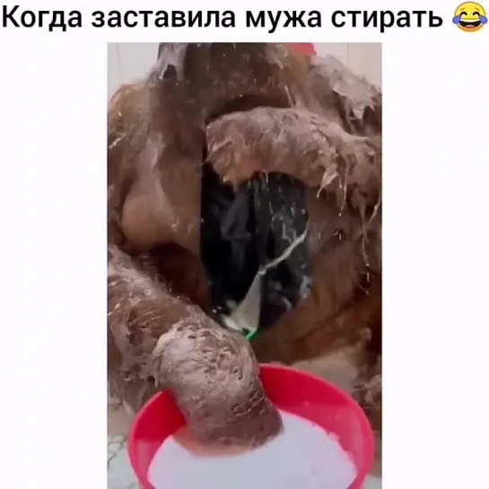 Помощничек😂