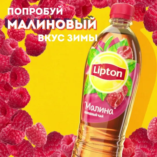 Lipton  Raspberry