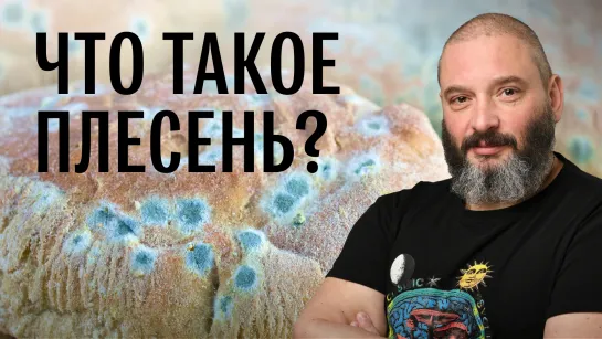 Плесень. Есть ли шансы у человечества? Михаил Вишневский