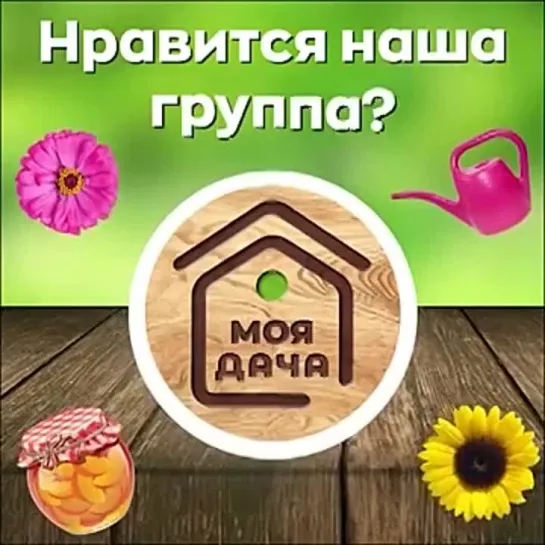 Video by Дачный сезон