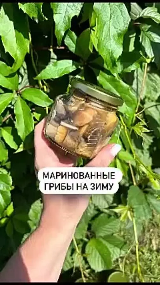 Video by Дачный сезон