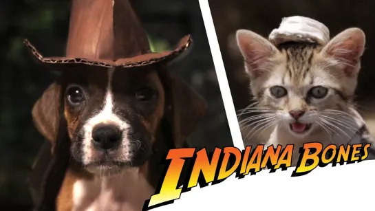 Indiana Bones – Raiders of the Lost Bark