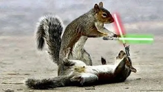 Star Wars – Chipmunks Battle ▸ 4K