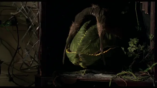 Groboid in Jumanji