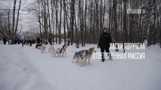 Песотерапия для особенных детей в парке Москвы