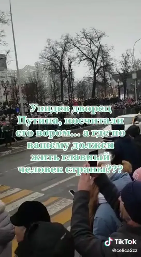 Митинг 23.01