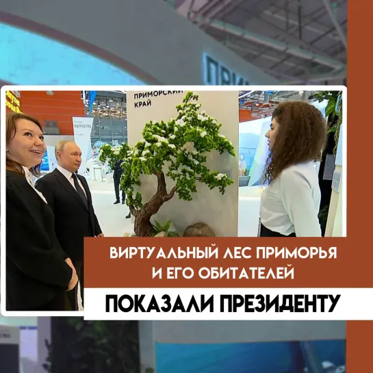 Чем павильон Приморья на выставке «Россия» удивил Владимира Путина?