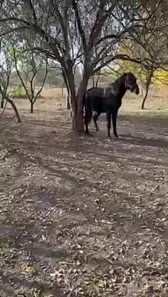 Ну чего тут думать - надо трясти! 💪