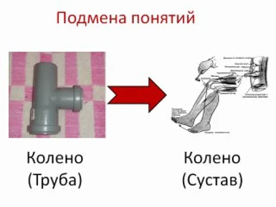 Кого укусил Жданов? 3 СЕРИЯ - "Организм не обманешь"