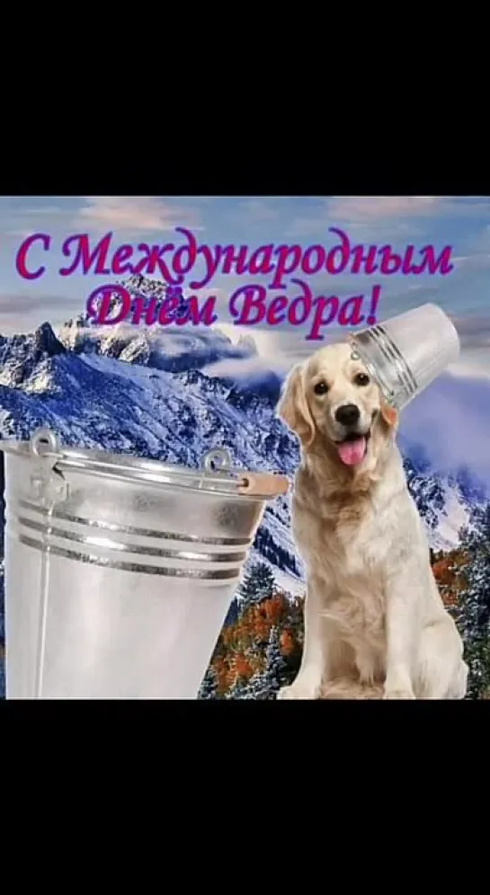 Жиза