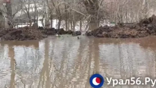 В Орске прорвало дамбу. Тысячи домов подтоплены, людей эвакуируют