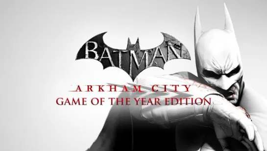 Batman Arkham City GOTY