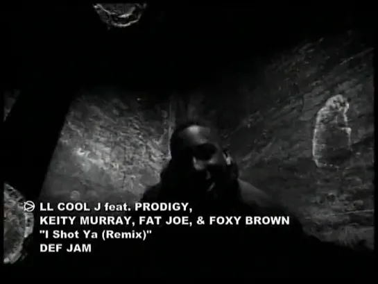 LL Cool J feat. Prodigy, Keith Murray, Fat Joe And Foxy Brown - I Shot Ya  (Remix)