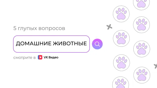 ТАЙНЫ ВАШИХ ЖИВОТНЫХ: 5 ГЛУПЫХ ВОПРОСОВ