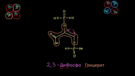 Фетальный гемоглобин и гематокрит