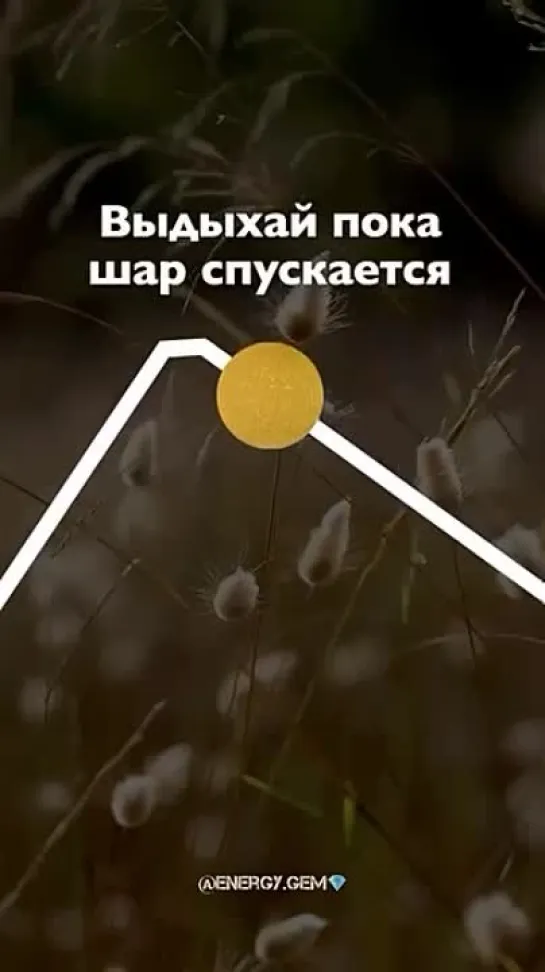 Video by Elena Verkholyotova