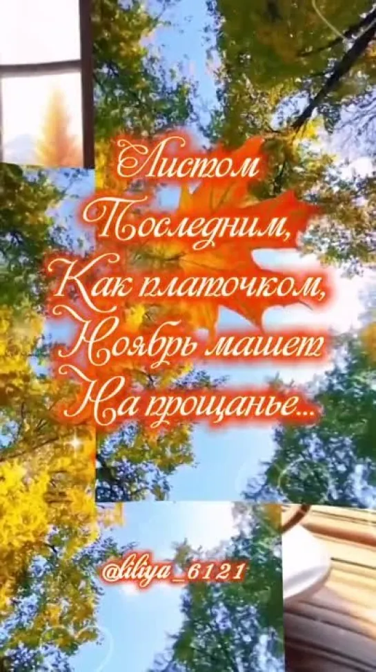 Video by Elena Verkholyotova