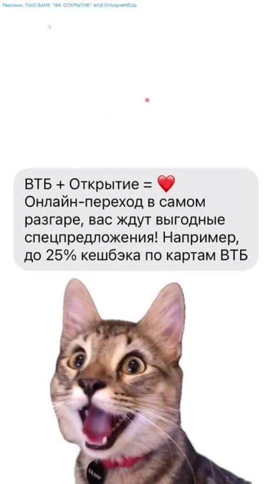 SMS счастья