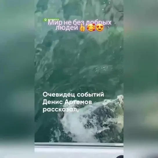 За спасённую нepпу радocтно