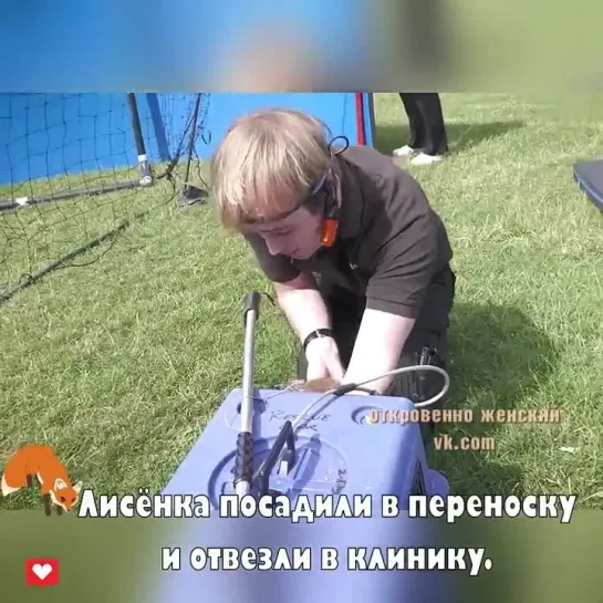 Mилый зверeк