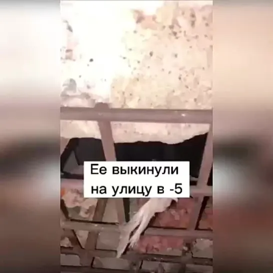 Спасение, спасибо вам