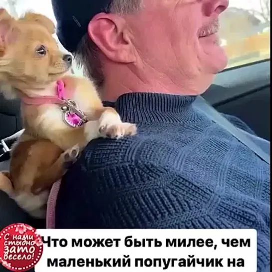 Мило