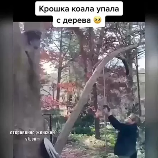 Воссоединение