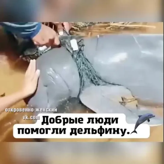 Не оставили в беде