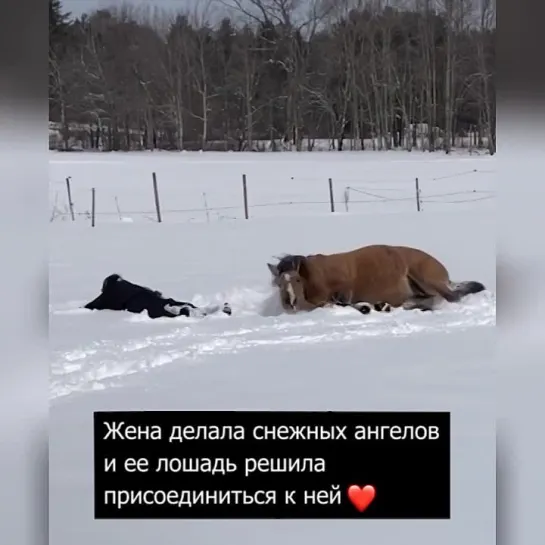 Настоящие