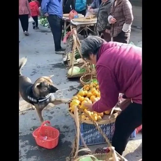 Мне вот эту апельсинку пожалуйста)