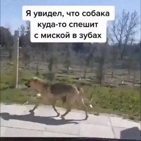 И такое бывает