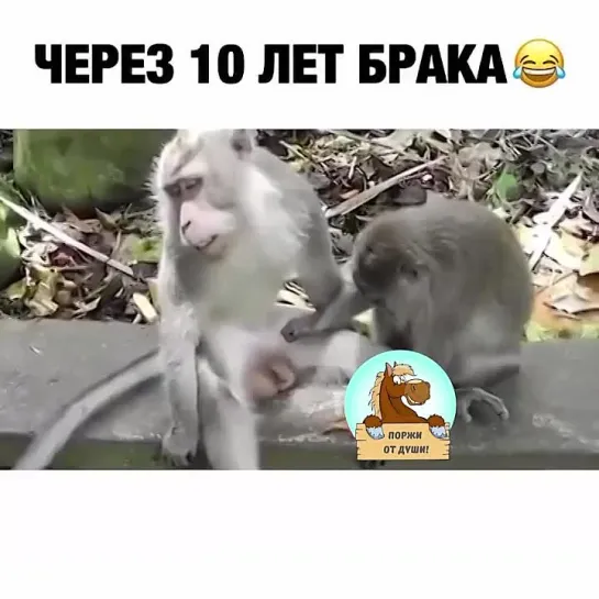 Через 10 лет брака