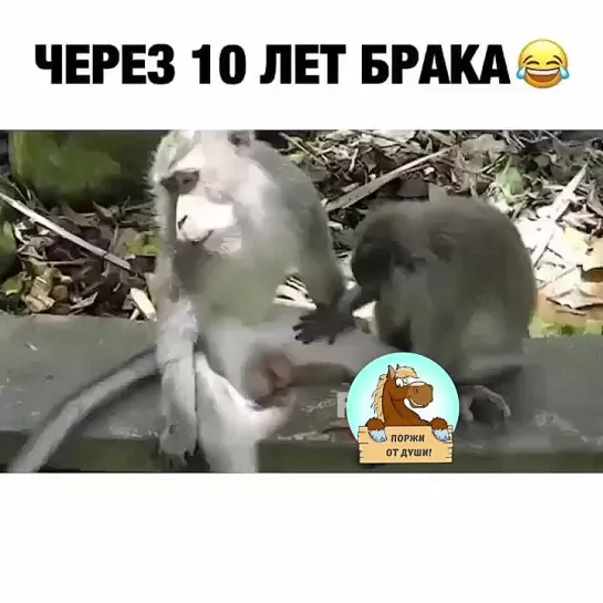 Счастилвый брак это так))