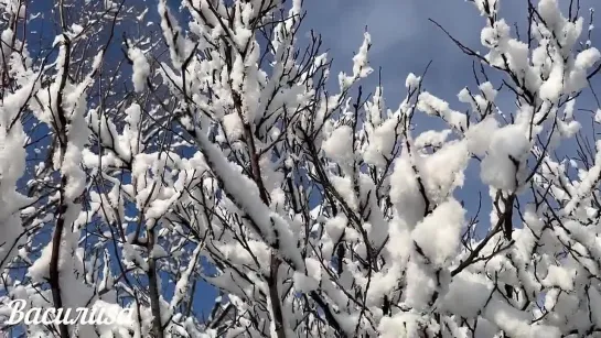 Рождественский сочельник💫
Приметы и традиции🌟