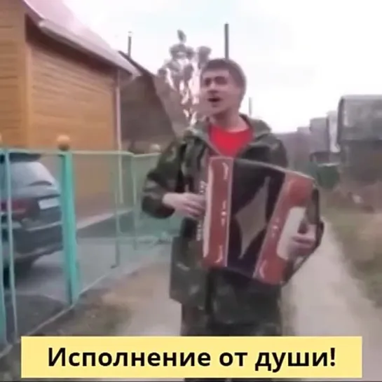 Ой калина, ой малина🎶