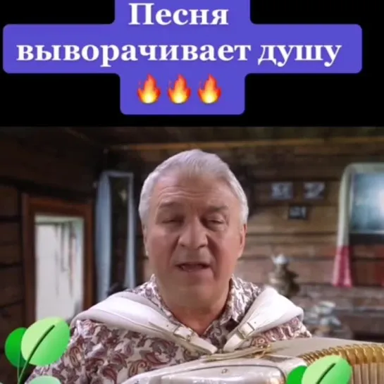 Старые сосны, берёзки да ели🎶