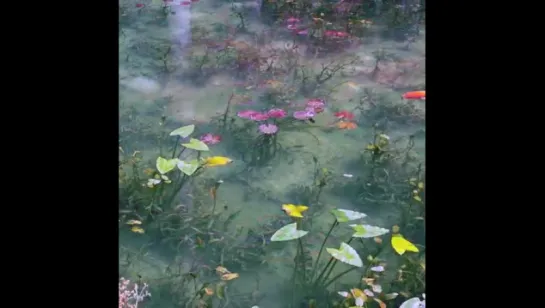 Monet's Pond, Seki City, Gifu Prefecture, Japan