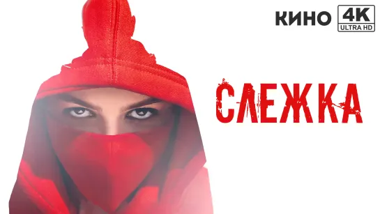 Слежка (2023) 4K UHD