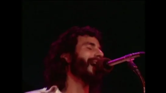 CAT STEVENS - Lady DArbanville  (1971)