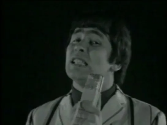 TROGGS  -  With a girl like you   (1966)