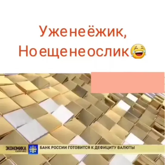 Между ёжиком и осликом