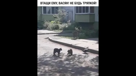 Двое на одного