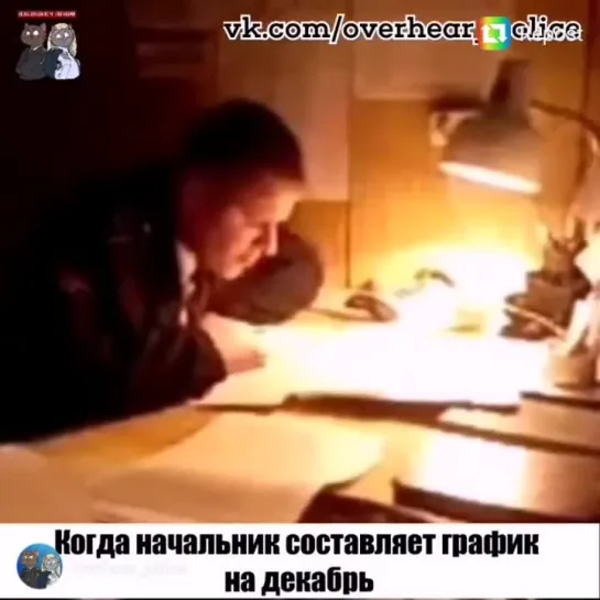 Кого поставить на новый год