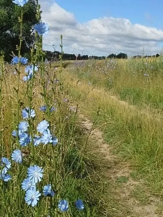 Video by Sveta Andreeva