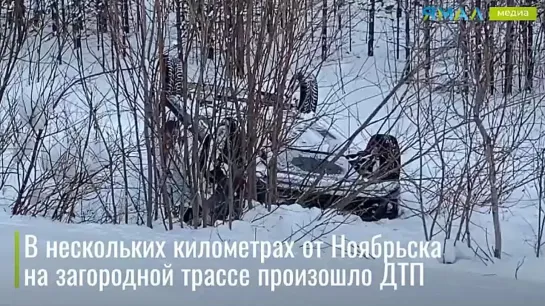 На загородной трассе в нескольких километрах от Ноябрьска произошло ДТП. Злой Ямал