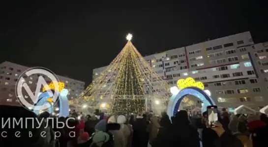 В Новом Уренгое зажглись огни на новогодней елке. Злой Ямал