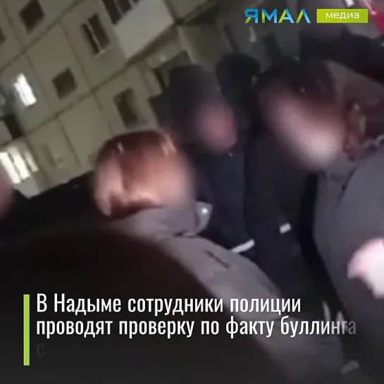 В Надыме проводится проверка по факту буллинга среди подростков. Злой Ямал