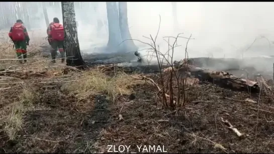 Ямалспас борется с пожарами в Тюменской области. Злой Ямал.